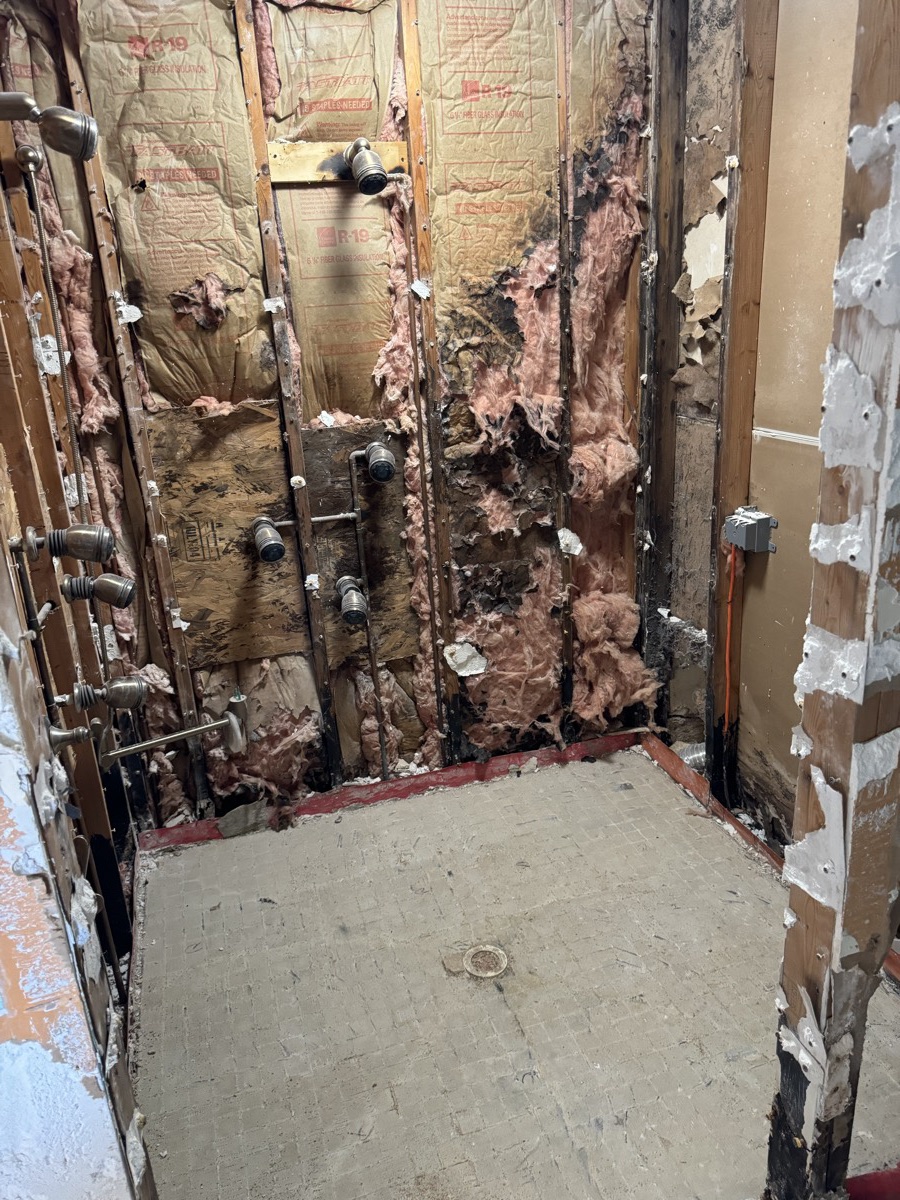 Bathroom taken down to the studs during demolition